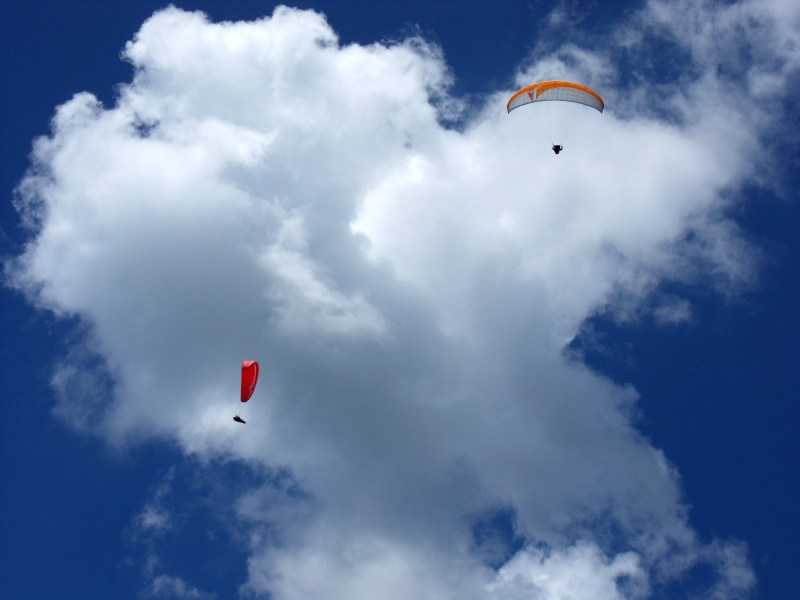 Enlarge SDC10042.JPG