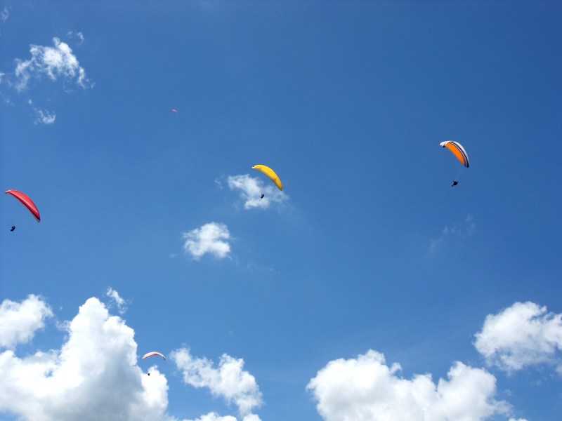 Enlarge SDC10045.JPG