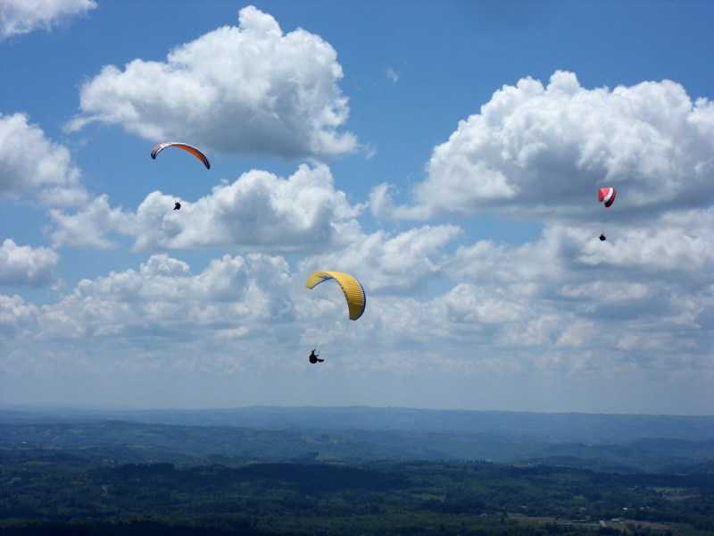 Enlarge SDC10047.JPG