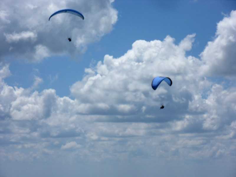 Enlarge SDC10051.JPG