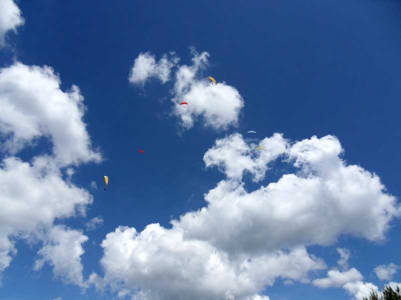 Enlarge SDC10052.JPG