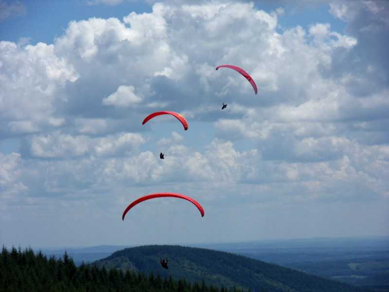 Enlarge SDC10055.JPG