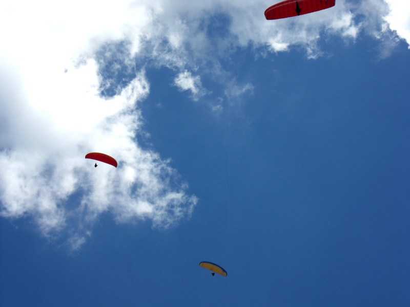 Enlarge SDC10063.JPG