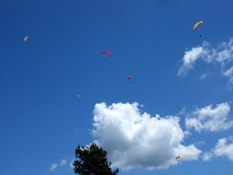 Enlarge SDC10066.JPG