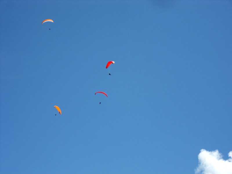 Enlarge SDC10067.JPG