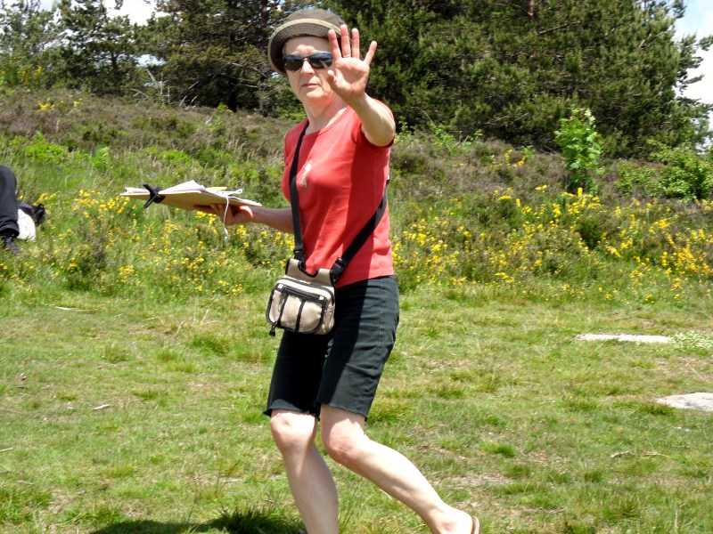 Enlarge SDC10068.JPG