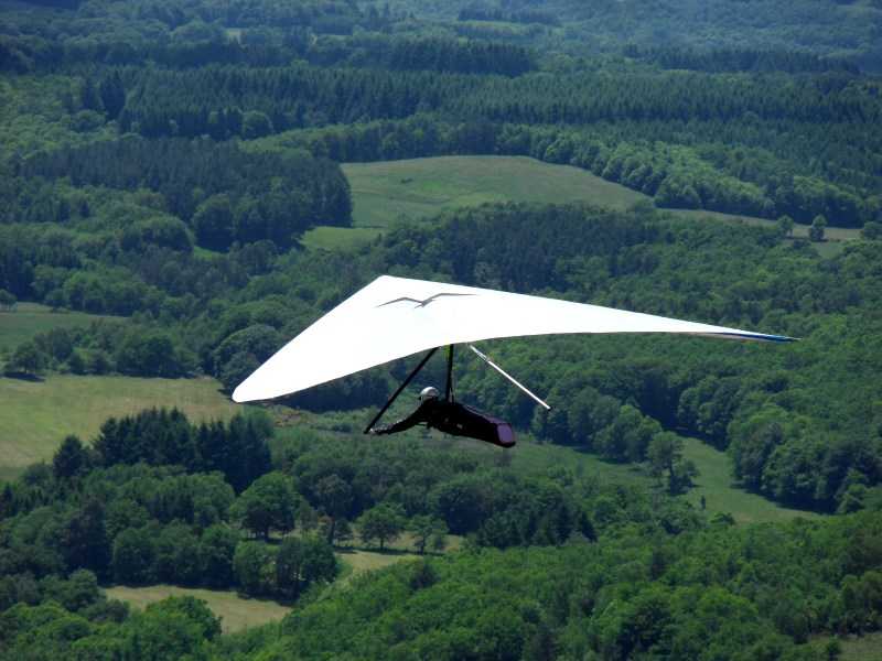 Enlarge SDC10079.JPG