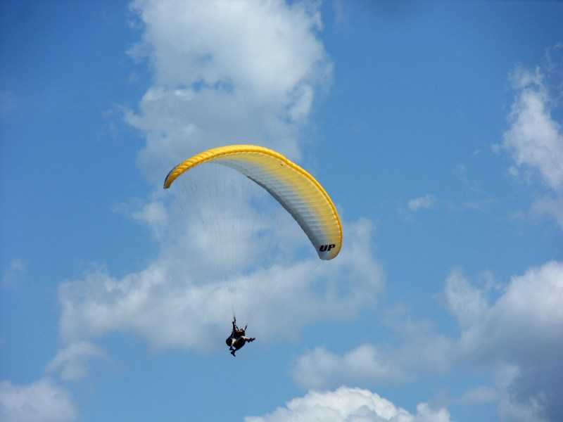 Enlarge SDC10108.JPG