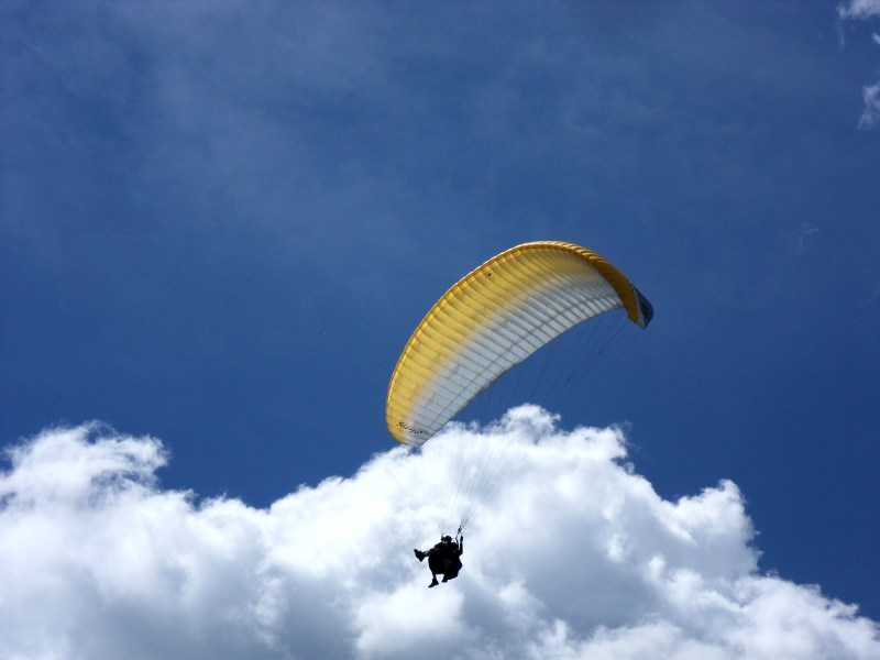 Enlarge SDC10110.JPG