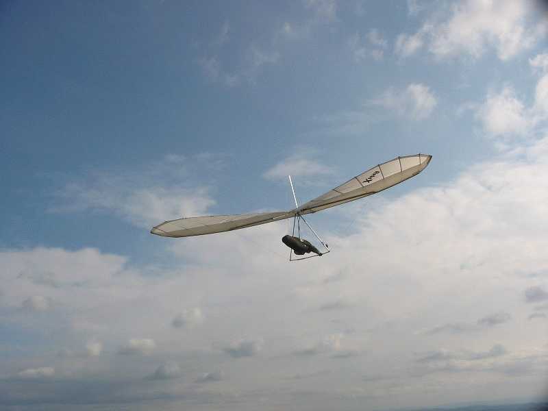 Enlarge vol_003_olivier.jpg