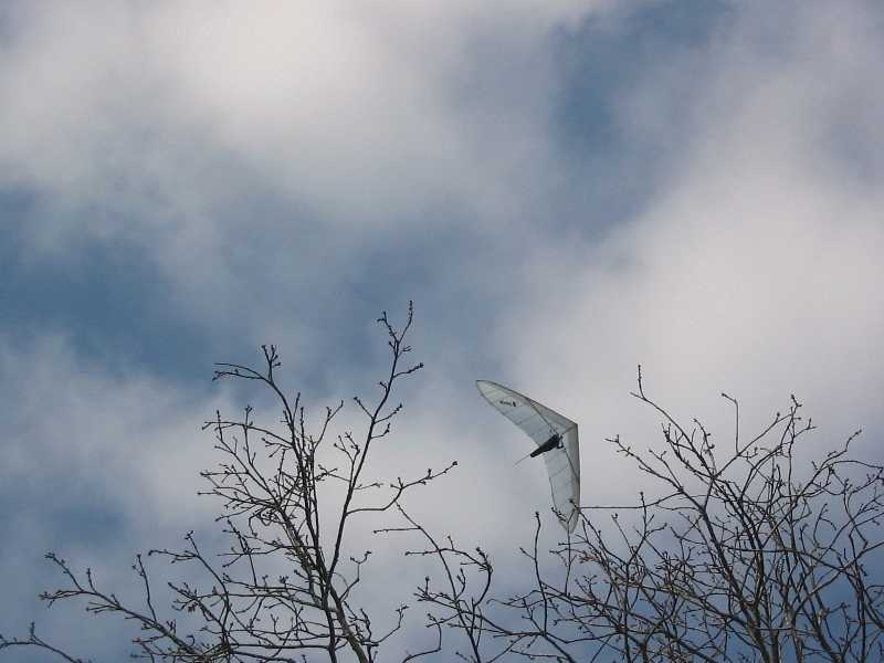 Enlarge vol_009_olivier.jpg