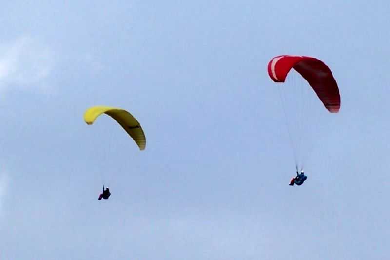 Enlarge 101_1221.JPG