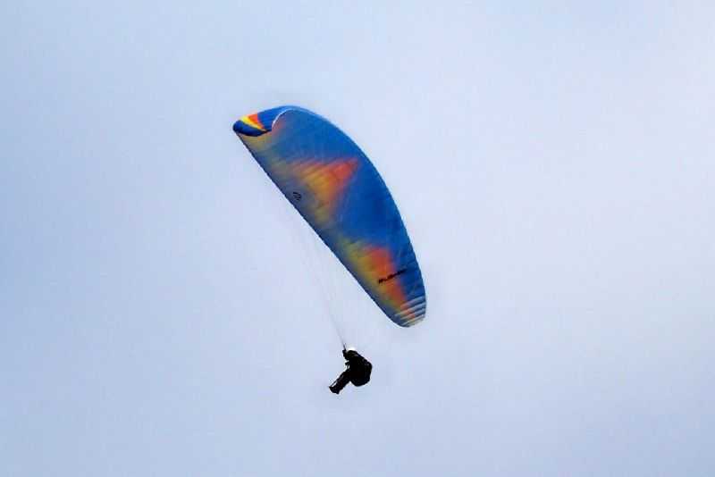 Enlarge 101_1224.JPG