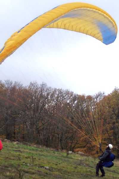 Enlarge 101_1229.JPG