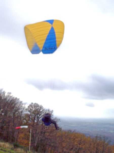 Enlarge 101_1230.JPG