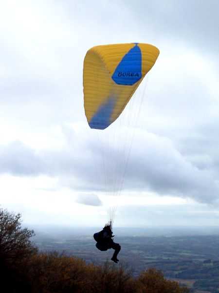 Enlarge 101_1231.JPG