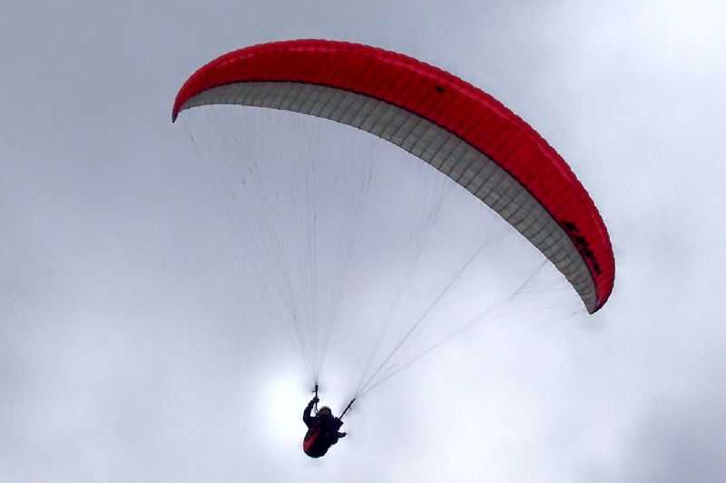 Enlarge 101_1235.JPG