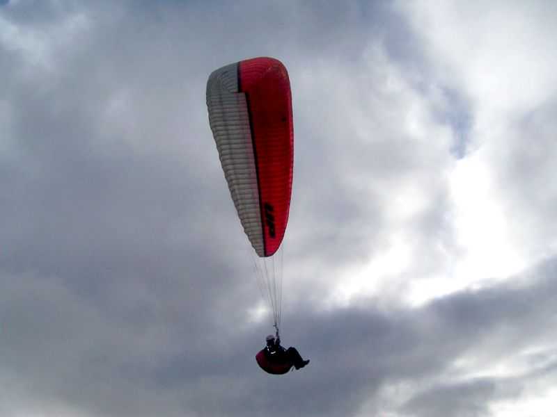 Enlarge 101_1237.JPG