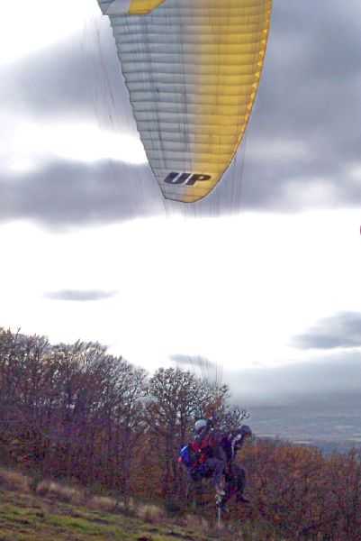 Enlarge 101_1243.JPG