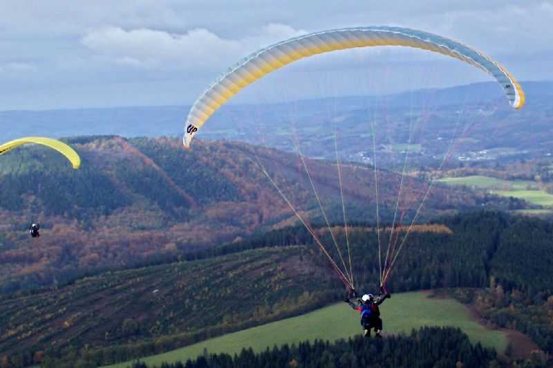 Enlarge 101_1245.JPG