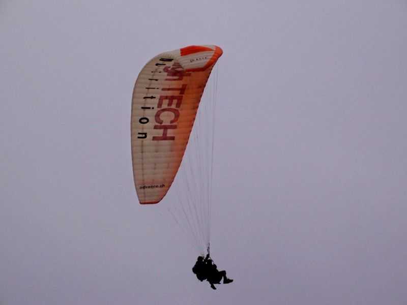 Enlarge 101_1284.JPG