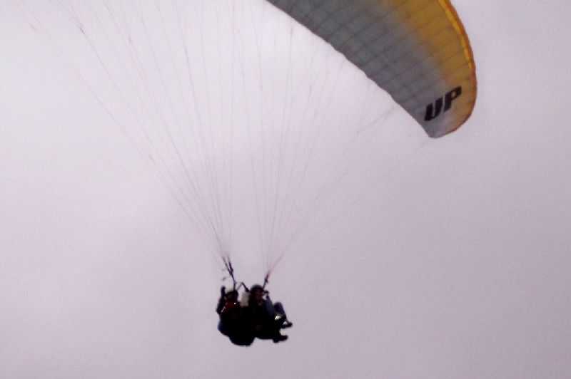 Enlarge 101_1285.JPG