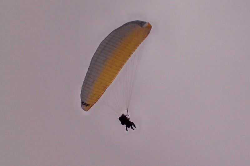 Enlarge 101_1289.JPG