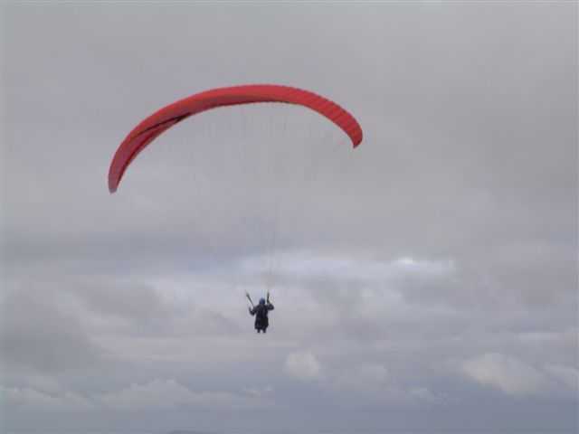 Enlarge DSCN1078.JPG