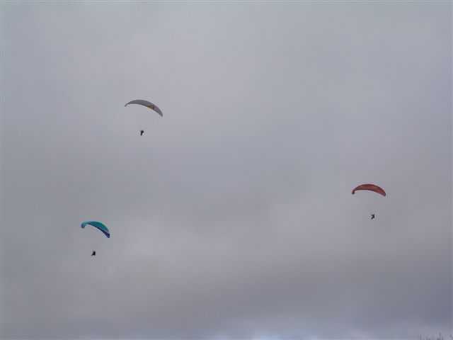 Enlarge DSCN1080.JPG