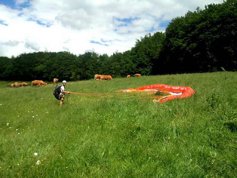 Enlarge SNC00461.jpg