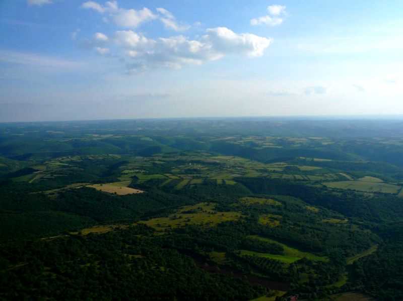 Enlarge cP1010108.JPG