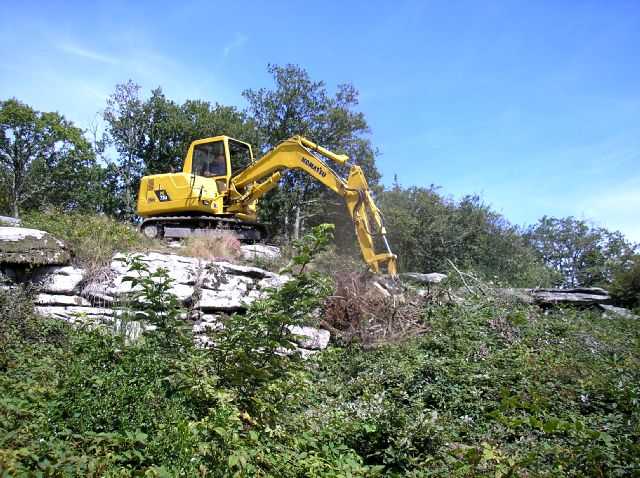 Enlarge P0609081413a.JPG