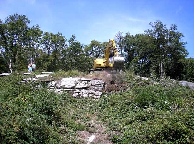 Enlarge P0609081413b.JPG