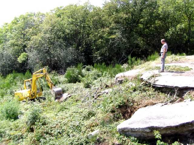 Enlarge P0609081416a.JPG