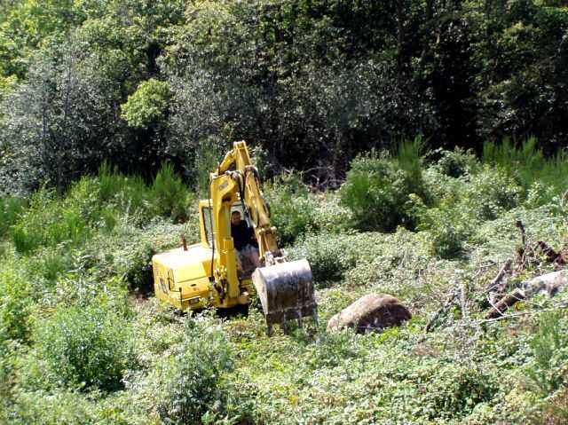 Enlarge P0609081417a.JPG