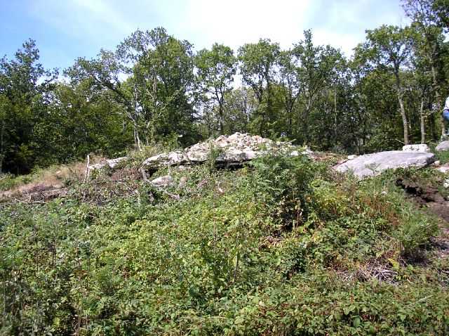 Enlarge P0609081419a.JPG