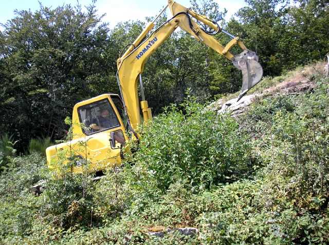 Enlarge P0609081419b.JPG