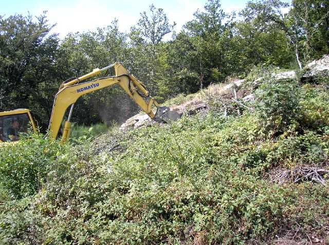 Enlarge P0609081419c.JPG