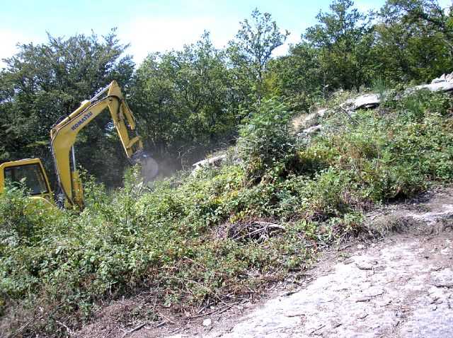 Enlarge P0609081420a.JPG