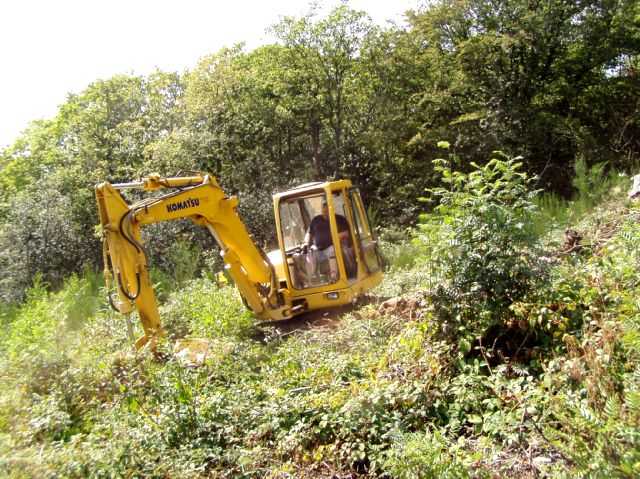 Enlarge P0609081420b.JPG