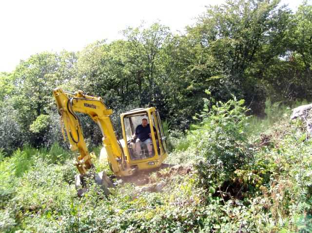 Enlarge P0609081420c.JPG