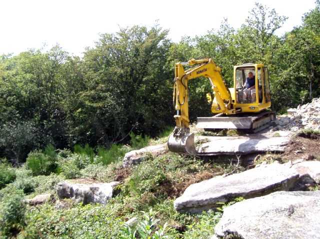 Enlarge P0609081429a.JPG