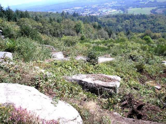 Enlarge P0609081430a.JPG