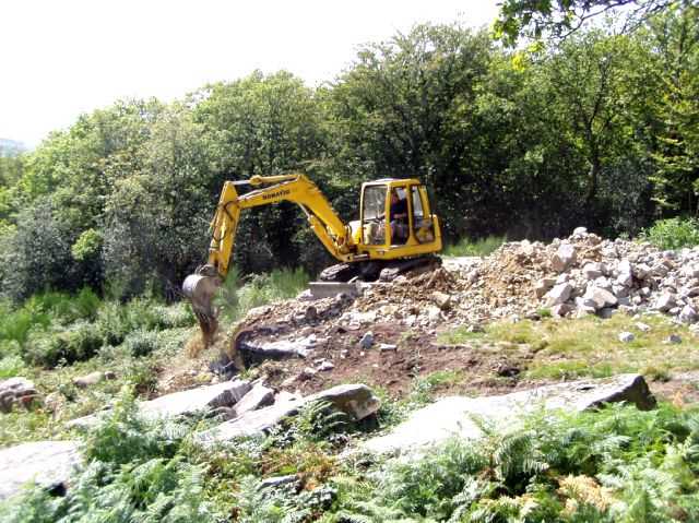 Enlarge P0609081438a.JPG