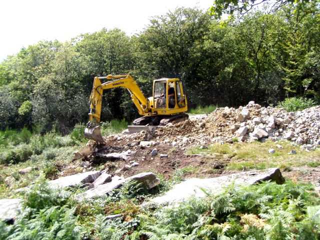 Enlarge P0609081438b.JPG