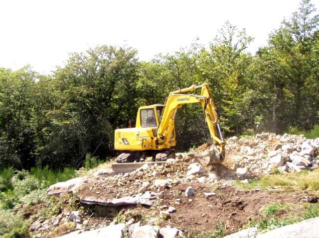 Enlarge P0609081438c.JPG