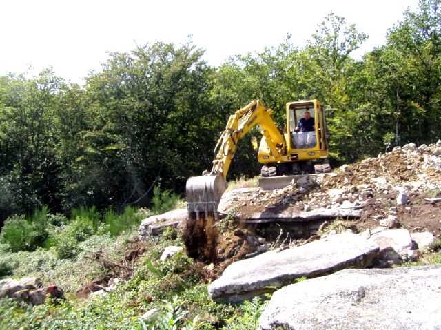 Enlarge P0609081439a.JPG