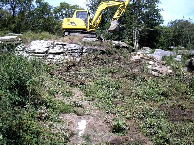 Enlarge P0609081445a.JPG