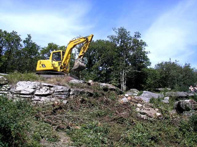 Enlarge P0609081446a.JPG