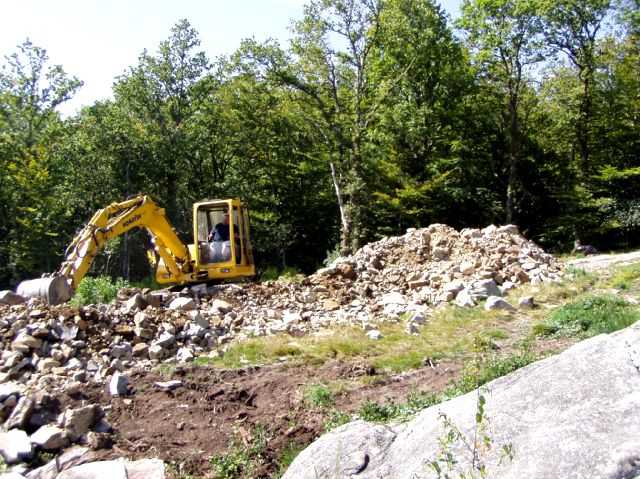 Enlarge P0609081517a.JPG